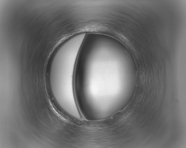 X0000056350530200508260922