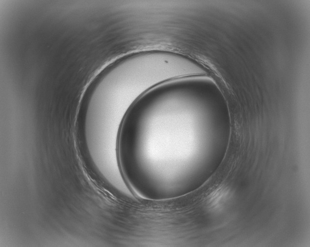 X0000056350532200508260922