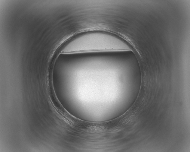X0000056350535200508260922