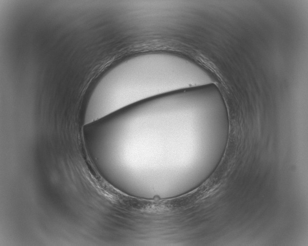 X0000056350537200508260922