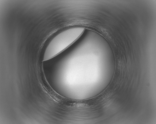 X0000056350539200508260922