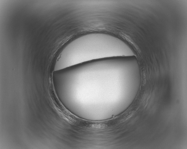 X0000056350541200508260922