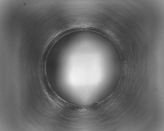 X0000056350544200508260922