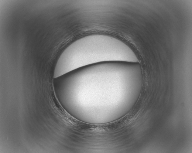 X0000056350545200508260922
