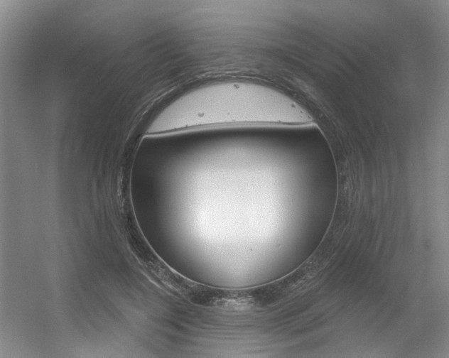 X0000056350548200508260922