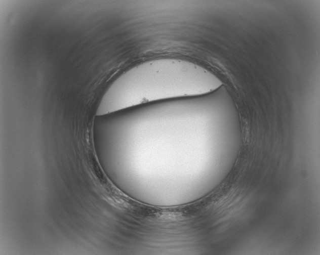 X0000056350549200508260922