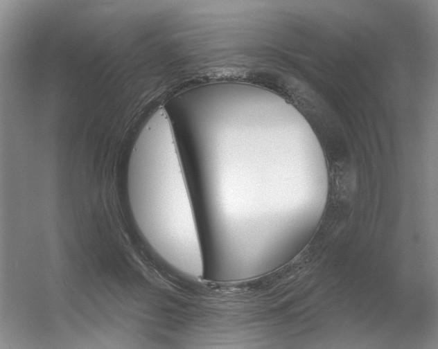 X0000056350550200508260922