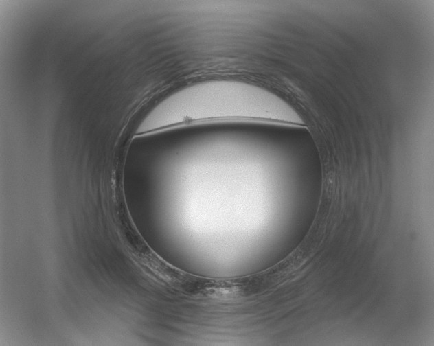 X0000056350552200508260923