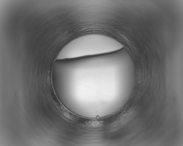X0000056350553200508260923