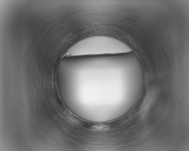 X0000056350557200508260923