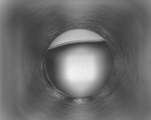 X0000056350558200508260923