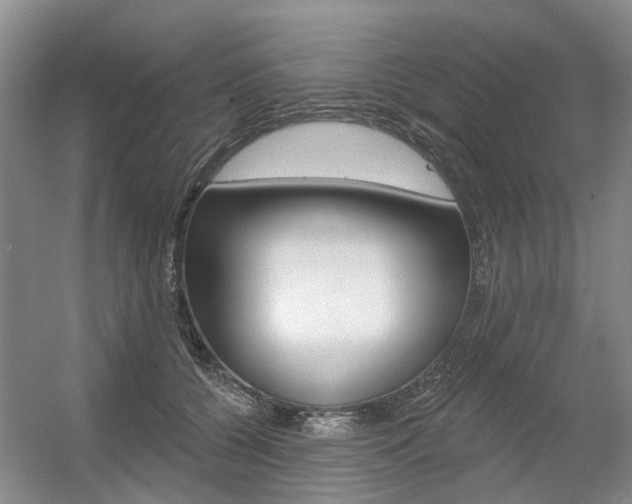 X0000056350560200508260923