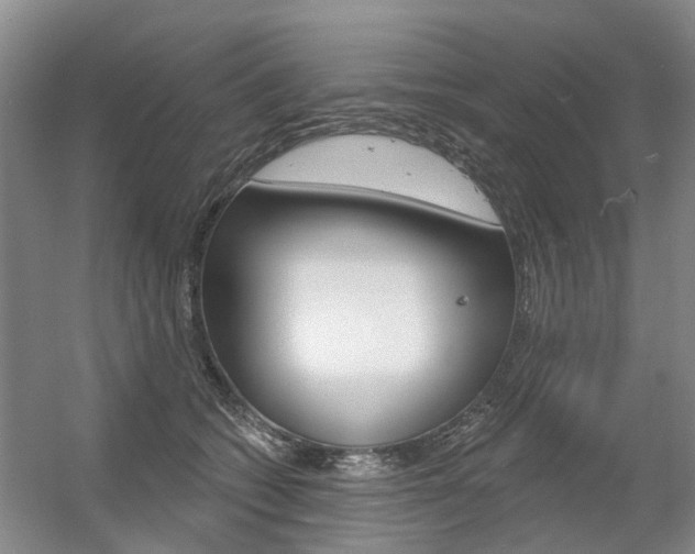 X0000056350562200508260923