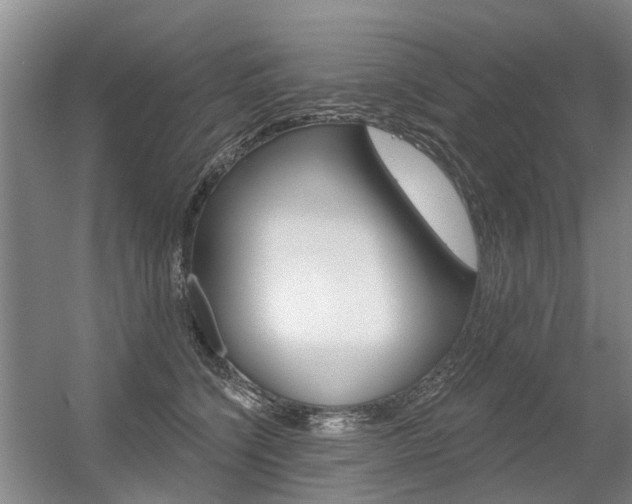 X0000056350564200508260923