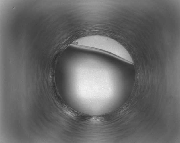 X0000056350566200508260923