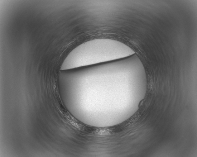 X0000056350569200508260923