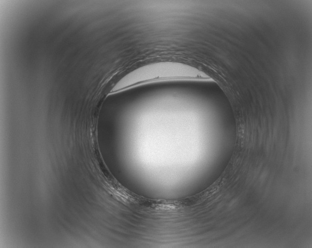 X0000056350572200508260923