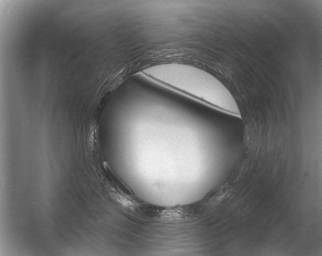 X0000056350574200508260923