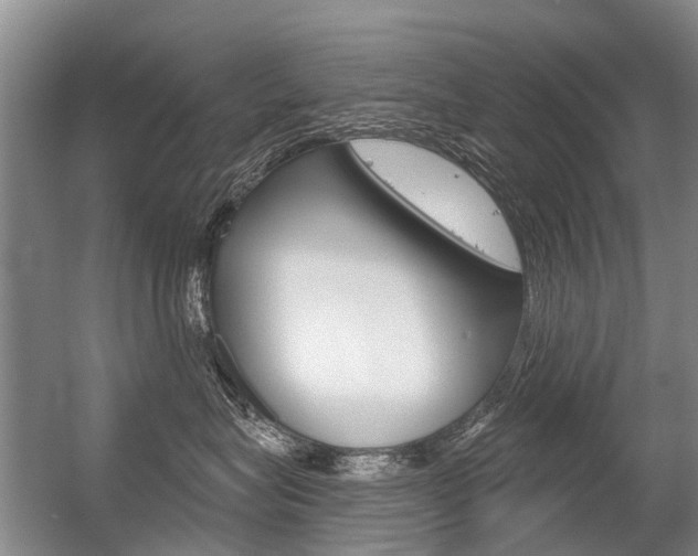 X0000056350575200508260923