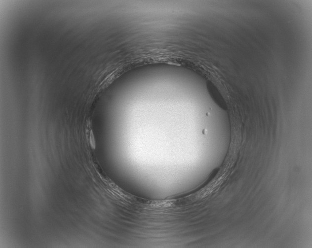 X0000056350576200508260923
