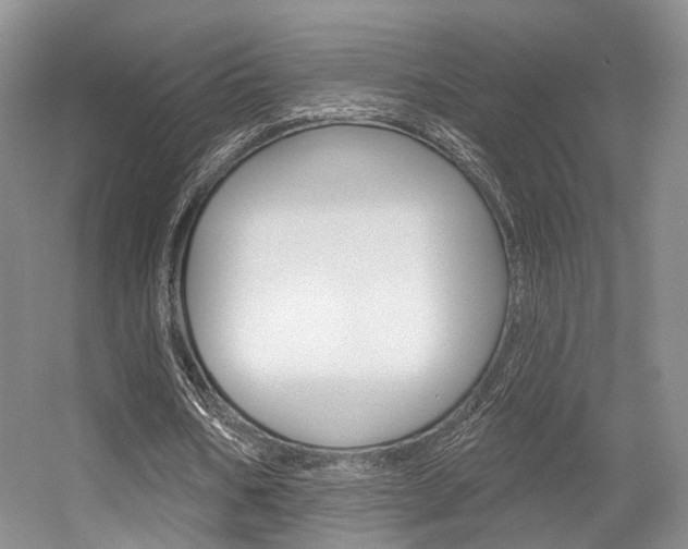 X0000056350578200508260922