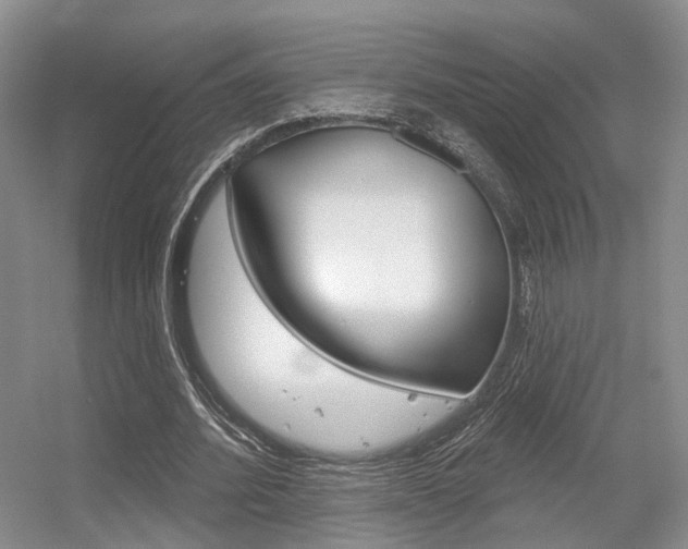 X0000056350580200508260922