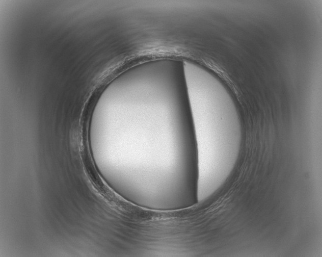 X0000056350582200508260922