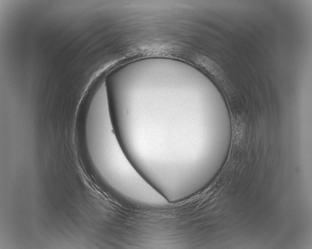 X0000056350583200508260922