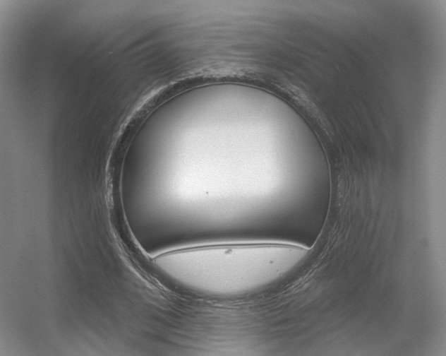 X0000056350584200508260922
