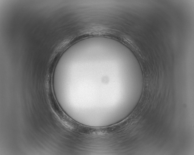 X0000056350586200508260922