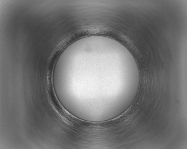 X0000056350590200508260922