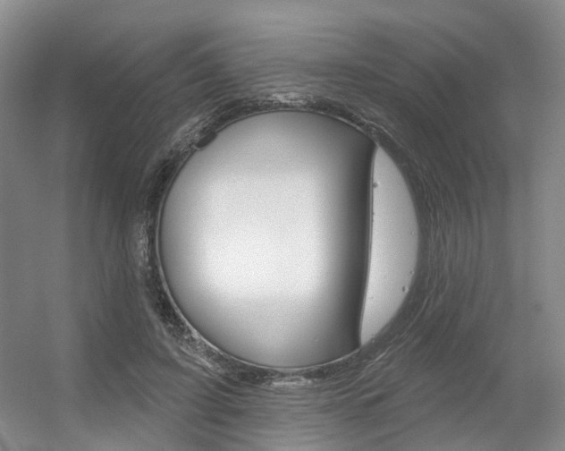 X0000056350595200508260922
