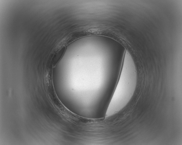 X0000056350597200508260922