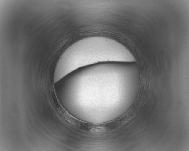 X0000056350599200508260922