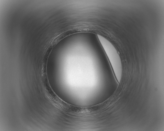 X0000056350600200508260922