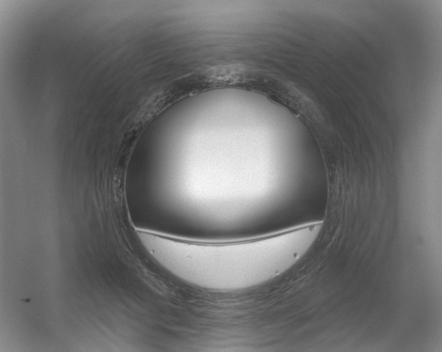 X0000056350601200508260922