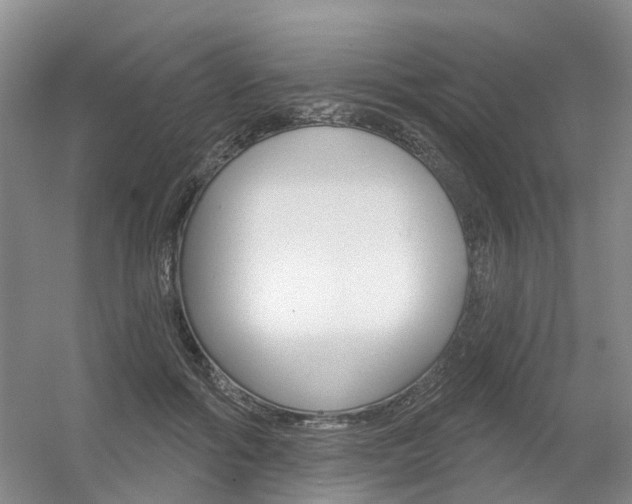 X0000056350602200508260922