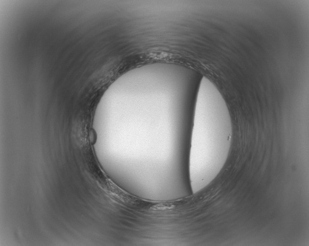 X0000056350606200508260922