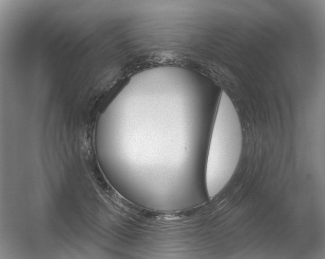 X0000056350607200508260922