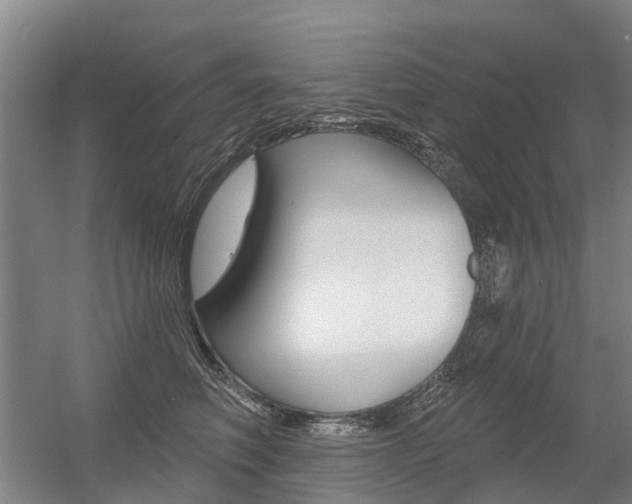 X0000056350614200508260921