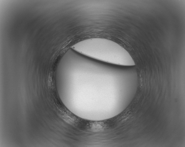 X0000056350618200508260921
