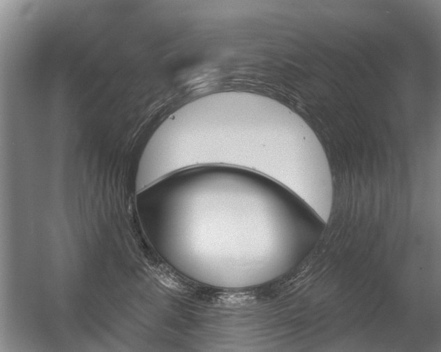 X0000056350619200508260921