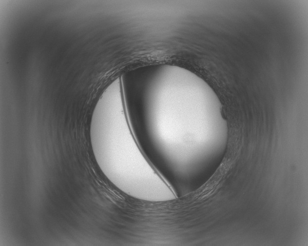 X0000056350624200508260921