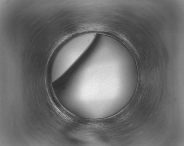 X0000056350629200508260921