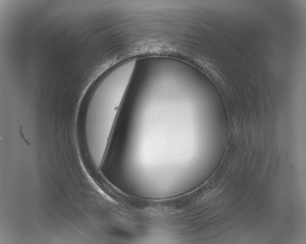 X0000056350630200508260921