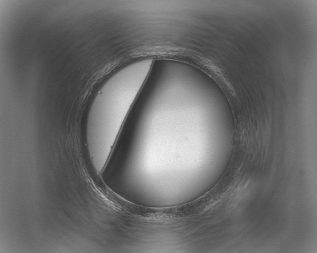 X0000056350633200508260921