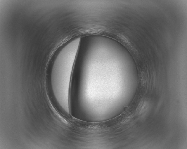 X0000056350634200508260921