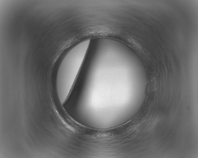 X0000056350638200508260921