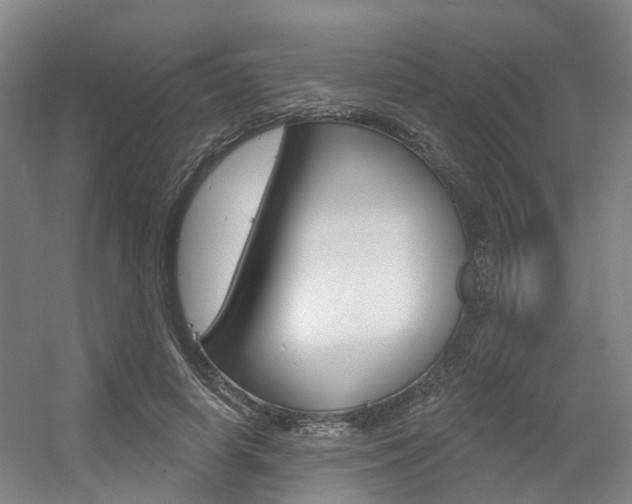 X0000056350642200508260921