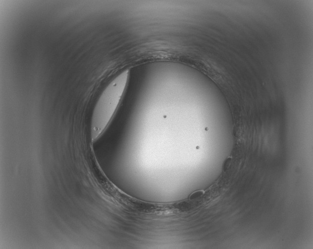 X0000056350646200508260921
